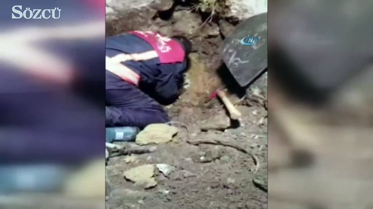 5 saat süren köpek kurtarma operasyonu