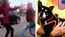 Lyft driver fight: road rage incident caught on camera shows Lyft driver toss man’s dog - TomoNews