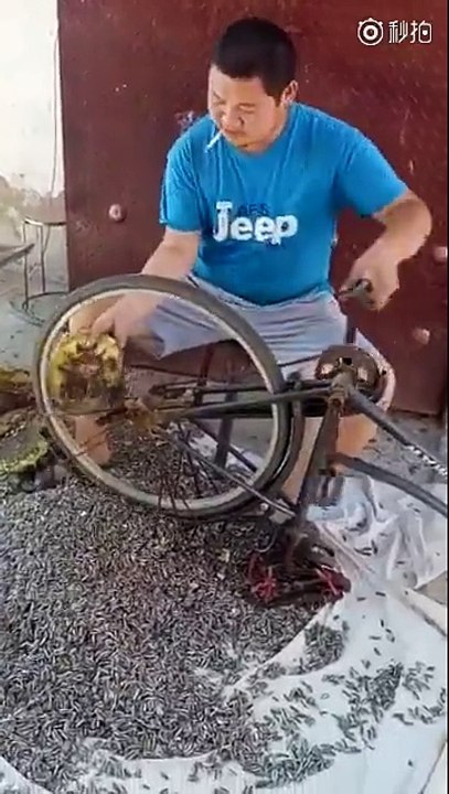 Gunebaxan Temizleme Usulu