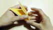 【Bricolage】 Stingray. Origami. L'art de plier le papier.-uCA