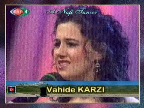 Vahide KARZI - Bir Rüzgârdır Gelir Geçer Sanmıştım