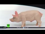Keiser Report: Pork Barrel Politics (E900)