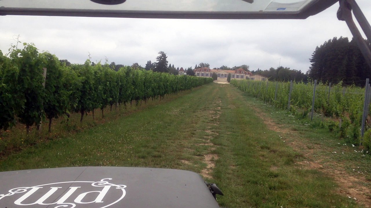 Libournais : en Jeep dans les vignes
