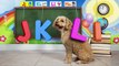 Learn the Alphabet with Lizzy the Dog | ABC Video for Kids Part 6