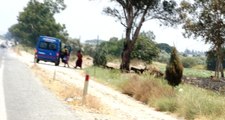 Yol Kenarında Fuhuş Yapan Kadınlara Jandarma Operasyon Düzenledi