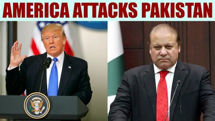 Pakistan: A 'safe haven' for terrorists, says America | Oneindia News