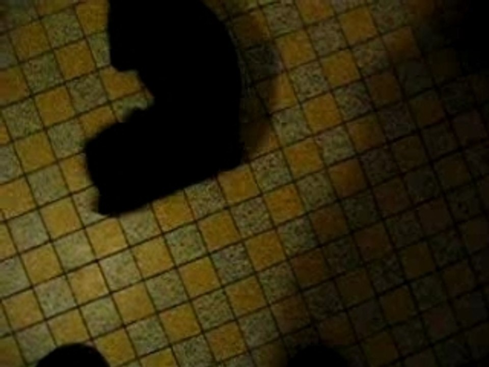 MVI_6167