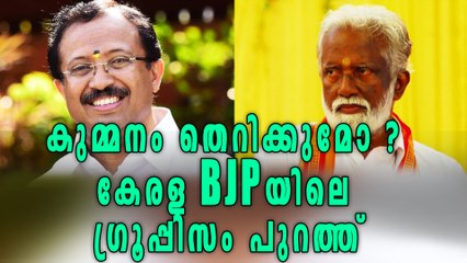 Corruption Controversy; BJP Leader's Reaction | Oneindia Malayalam