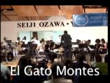 El Gato Montes