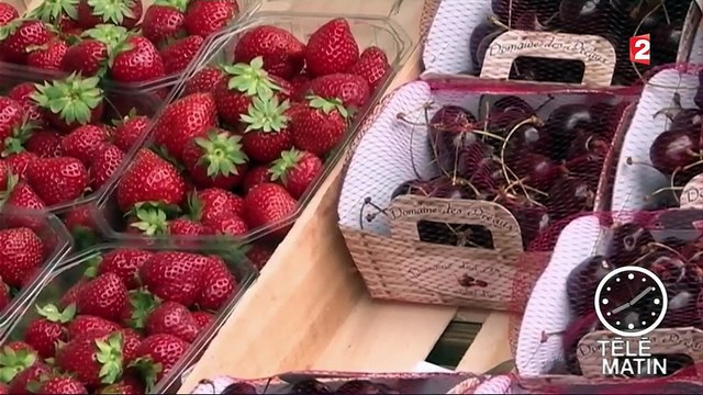 Ouverture des premiers états généraux de l'alimentation