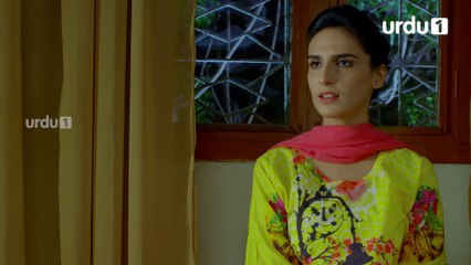 Amanat - Episode 15 | Urdu1 Drama | Noor Hassan, Rubab Hashim
