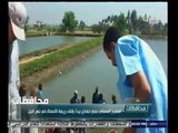 #أخبار‪_‬المحافظات | قنا.. المفرخ السمكي يبدأ بإلقاء زريعة الاسماك في نهر النيل