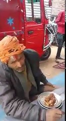 पंडित जी ने कहा गाय भगवान् नहीं है न भगवती है गाय पशु है