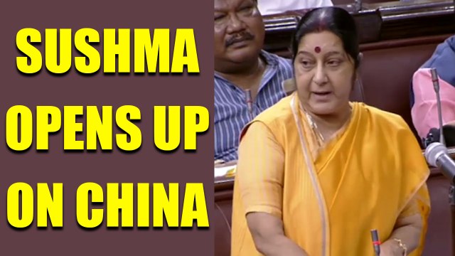 India-China issues highlighted by External Affairs Minister Sushma Swaraj | Oneindia News