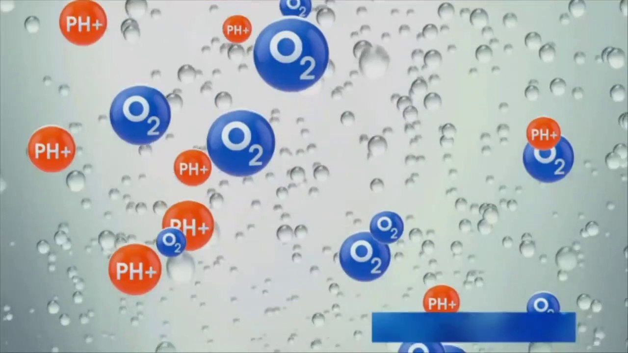 Blue Mount best ro alkaline water purifier with asia greatest brand