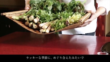 【ハリアー】BRUTUS×H.T.　操上和美＆エドツワキ＆小石原はるかのハリアーで行く大人旅。