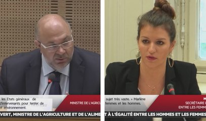 Audition de Stéphane Travert et Marlène Schiappa - Les matins du Sénat (20/07/2017)
