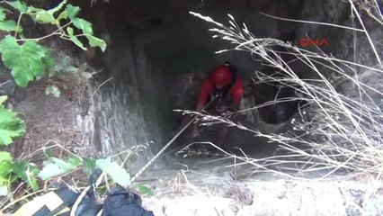 Bodrum Kuyuya Düşen Tavuğu Akut Kurtardı