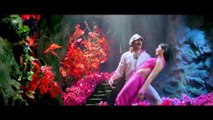 Anushka Shetty Red Hot Song (Hindi Dubbed) With Ravi Teja