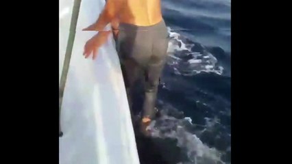 Un pêcheur marche sur le dos d'un requin-baleine