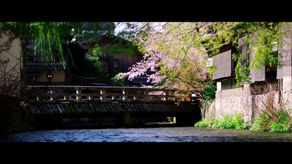【アクア】Drive in Japan 自動ブレーキ篇 30秒