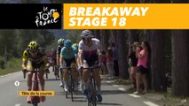 54 coureurs dans l'échappée / 54 riders in the breakaway group - Étape 18 / Stage 18 - Tour de France 2017