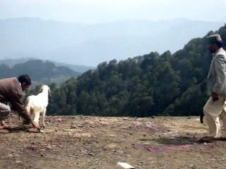 Devbhomi Lok Kala Udgam Charitable Trust Mumbai  (14)