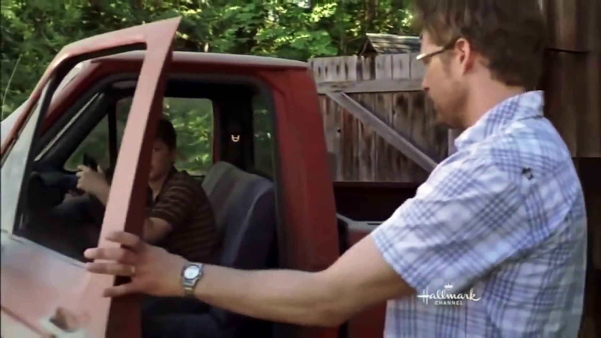 Hallmark Movies: Pictures Of Hollis Woods Great Hallmark Family Movies