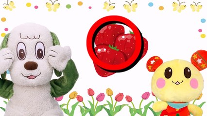 【くだもの なにかな】わんわん うーたん 赤ちゃん 泣きやむ 喜ぶ 笑う いないいないばぁ おかあさんといっしょ いちご りんご スイカ もも ぶどう バナナ フルーツ 子供向け 幼児向け