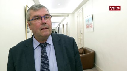 Désertification : "On a pas su réguler les surfaces commerciales en périphérie" juge Rémy Pointereau