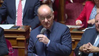 Question d'Actualité au Gouvernement de Vincent Capo-Canellas, Sénateur de la Seine-Saint-Denis - 20 juillet 2017