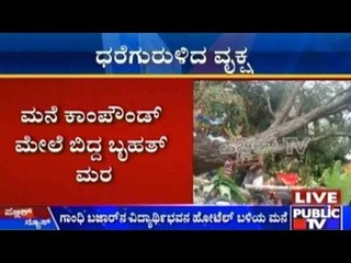 Bengaluru Rains: Tree Falls Near Gandhi bazar