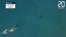 Un requin s'incruste dans une compétiton de surf ! - Le Rewind du jeudi 20 juillet 2017
