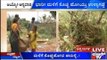 Chitradurga: Onion Crops Damaged Due To Heavy Rain