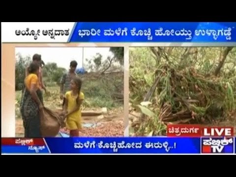 Chitradurga: Onion Crops Damaged Due To Heavy Rain