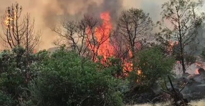 Fire Crews Battle Fast-Moving Detwiler Fire in Mariposa County