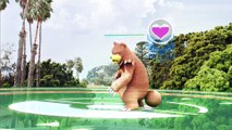 Pokémon GO : les légendaires sont là