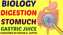Biology Digestion in Stomuch Coaching Video for 11th 12th NEET AIIMS JIPMER PGT TGT IAS PCS UGC NET UPSC SSC Bank Exams