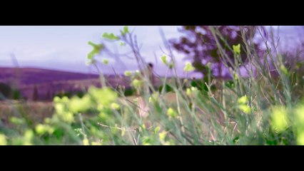 Derhan Görmüş Asiye (yeni klip 2017 Full HD)