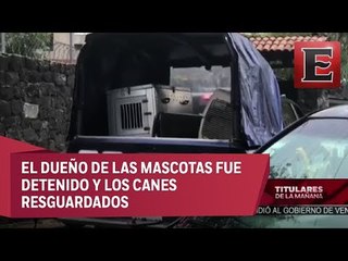 Niña de tres años muere por ataque de perros en Coyoacán