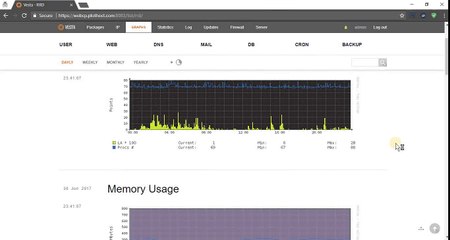 How to check server and accounts' stats in Vesta