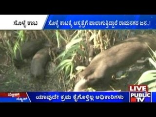 Ramanagara: Mosquitoes Have Become A Major Concern