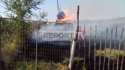 Report TV - Fier,zjarri përfshin dhjetra rrënjë ullinj,në rrezik disa banesa