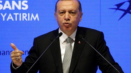 Erdogan alla Germania: "Non ci fate paura"