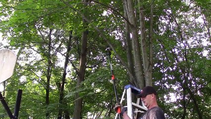 Remington RM2599 Maverick 25cc 2-Cycle 8-Inch Gas Pole Saw Review and Demo