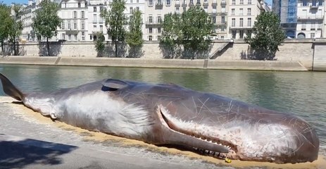 Belgian Artists Create Realistic Beached Whale Along Paris' Seine