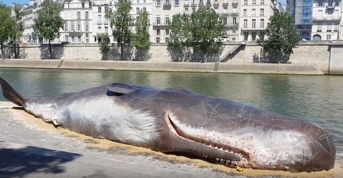 Belgian Artists Create Realistic Beached Whale Along Paris' Seine