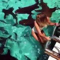 Amazing beautiful girl swim with big fishes