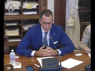 Roma - Licenziamento illegittimo, audizione esperti (20.07.17)