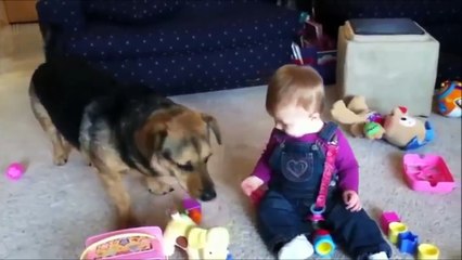 WHEN DOGS & BABIES COLLIDE